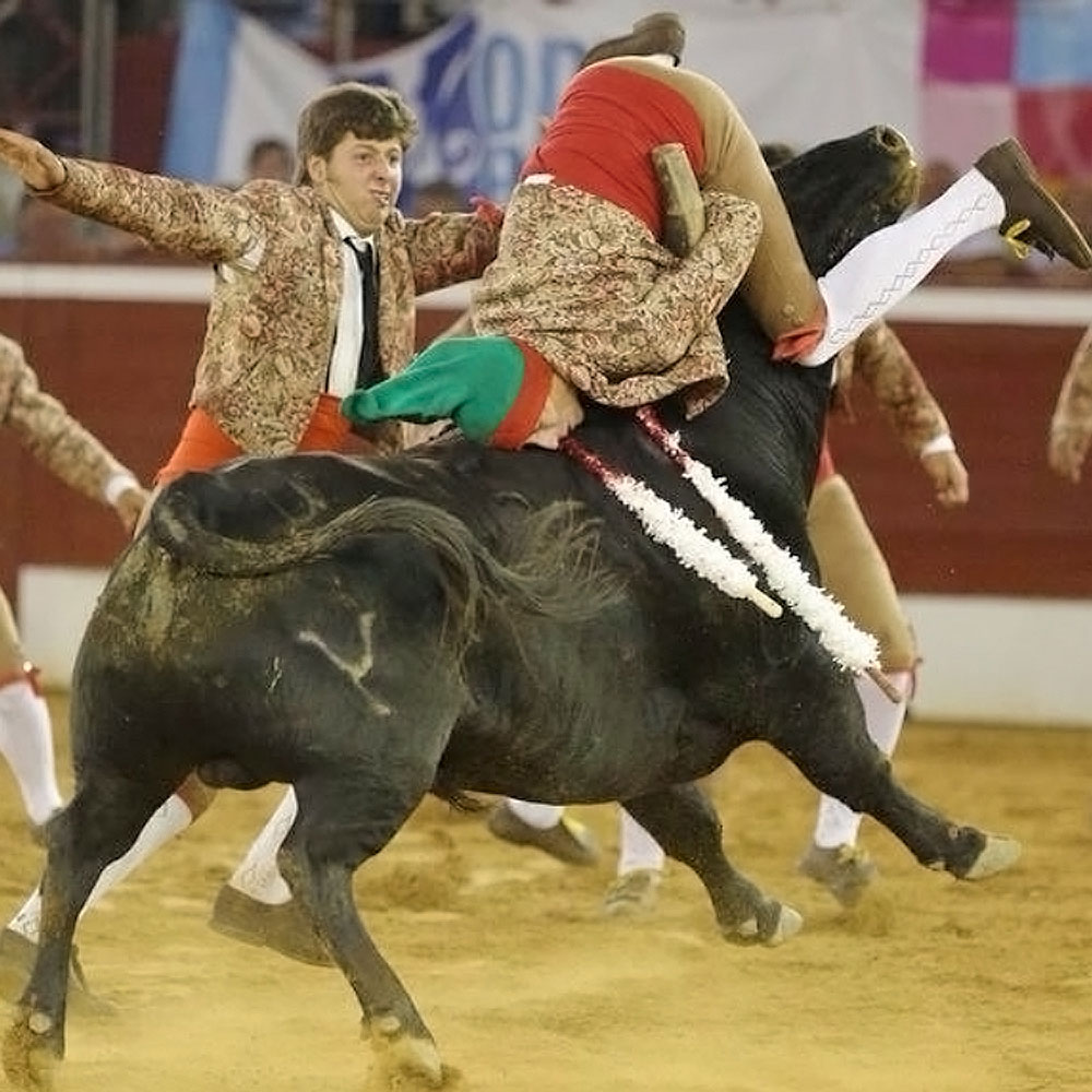 Forcados Amadores da Chamusca