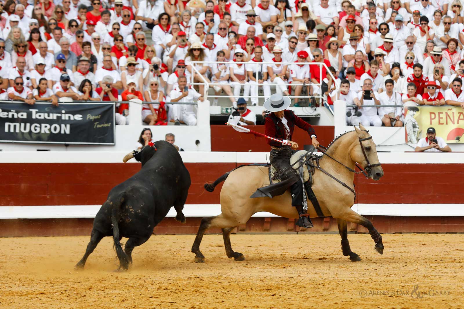 photo d’une corrida à cheval dans les arènes de Dax.