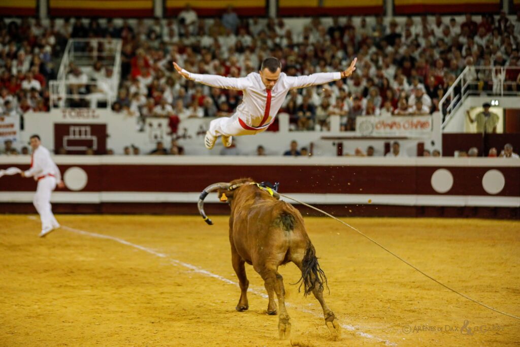 Photo d’un sauteur en train de réaliser un saut lors du concours landais
