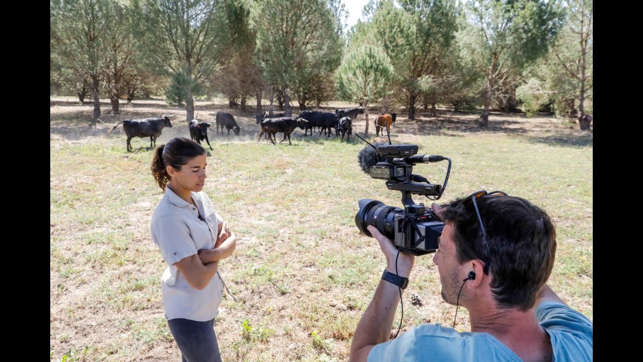 youtube placeholder image